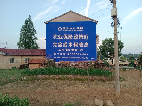 江阴墙体广告为何受追捧?